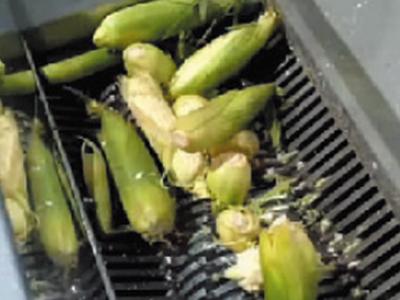 Desechos de Cocina
